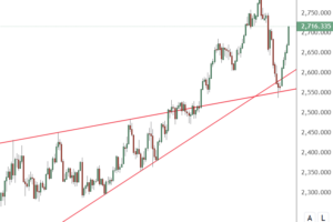 市场新闻及观点