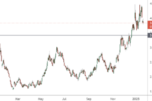 市场新闻及观点