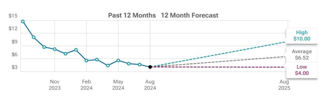 NIO Stock Price Prediction 2025, 2030, 2040 – Can NIO Rebound from Its Decline?