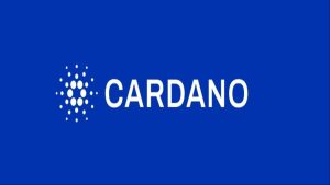 Cardano