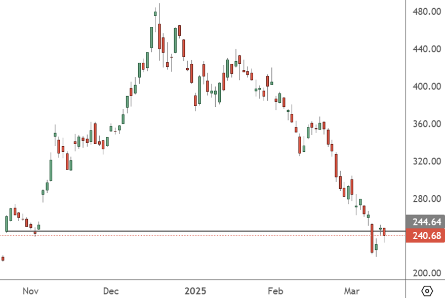 Tesla Looks for Support After a Tough Few Months TSLA – Daily Chart
