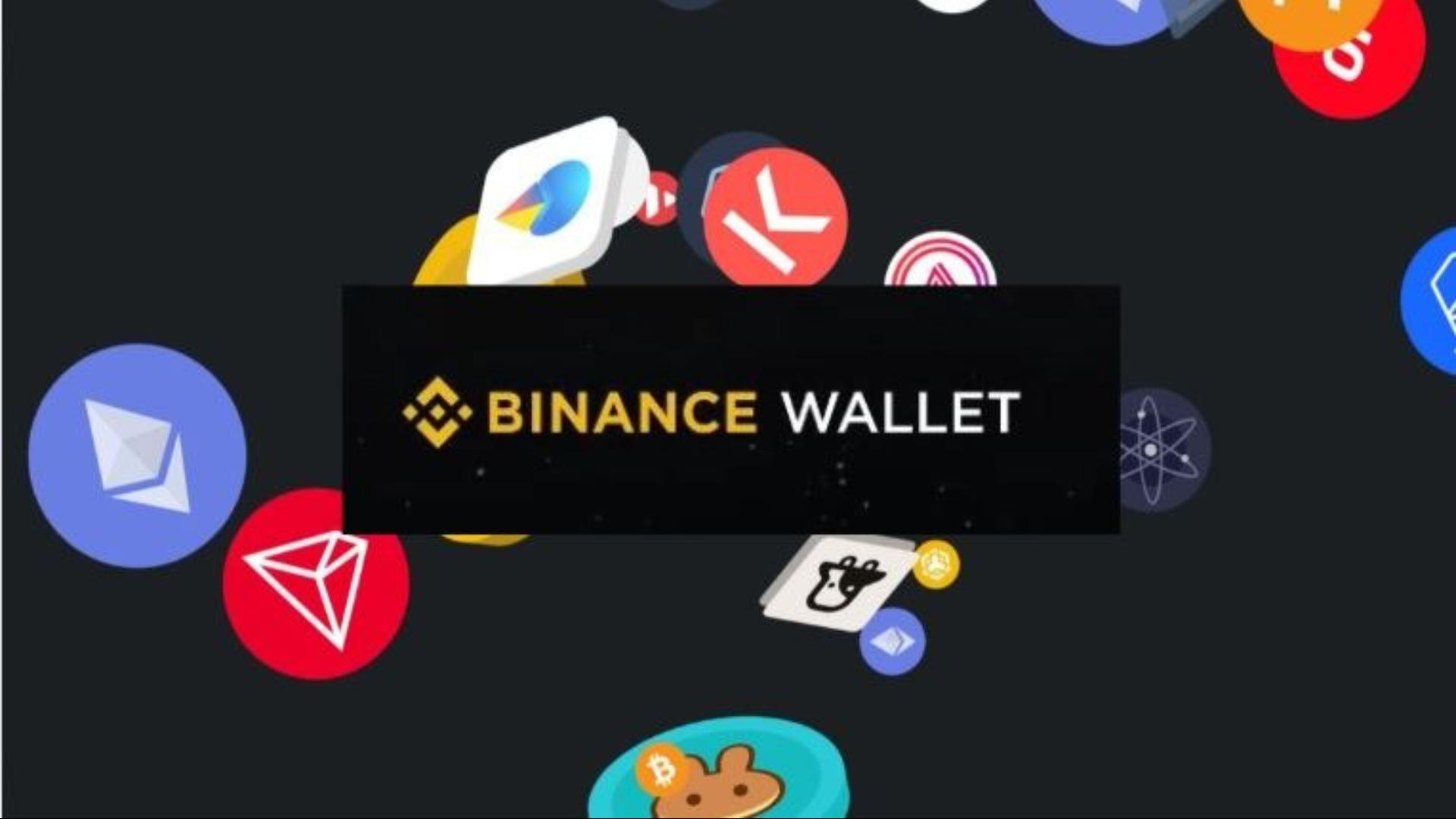 Binance Wallet Launches Alpha Earn Hub to Reward Liquidity Providers Amid Record $12.5B Daily Volume