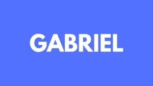 Gabriel India Share Price Triggers Circuit as Restructuring Rally Extends